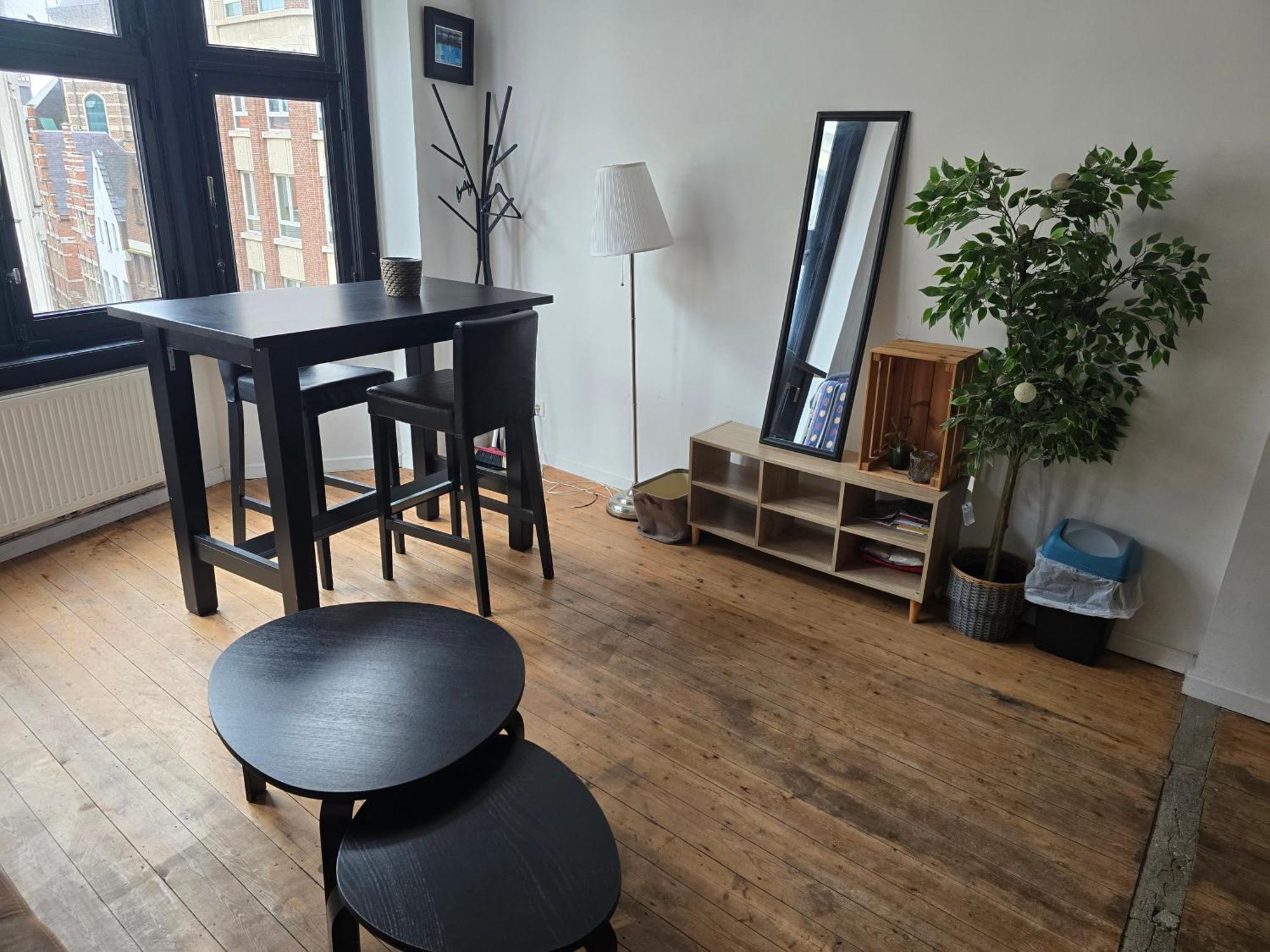Den Gulden Hoorn Apartment Antwerpen Bagian luar foto